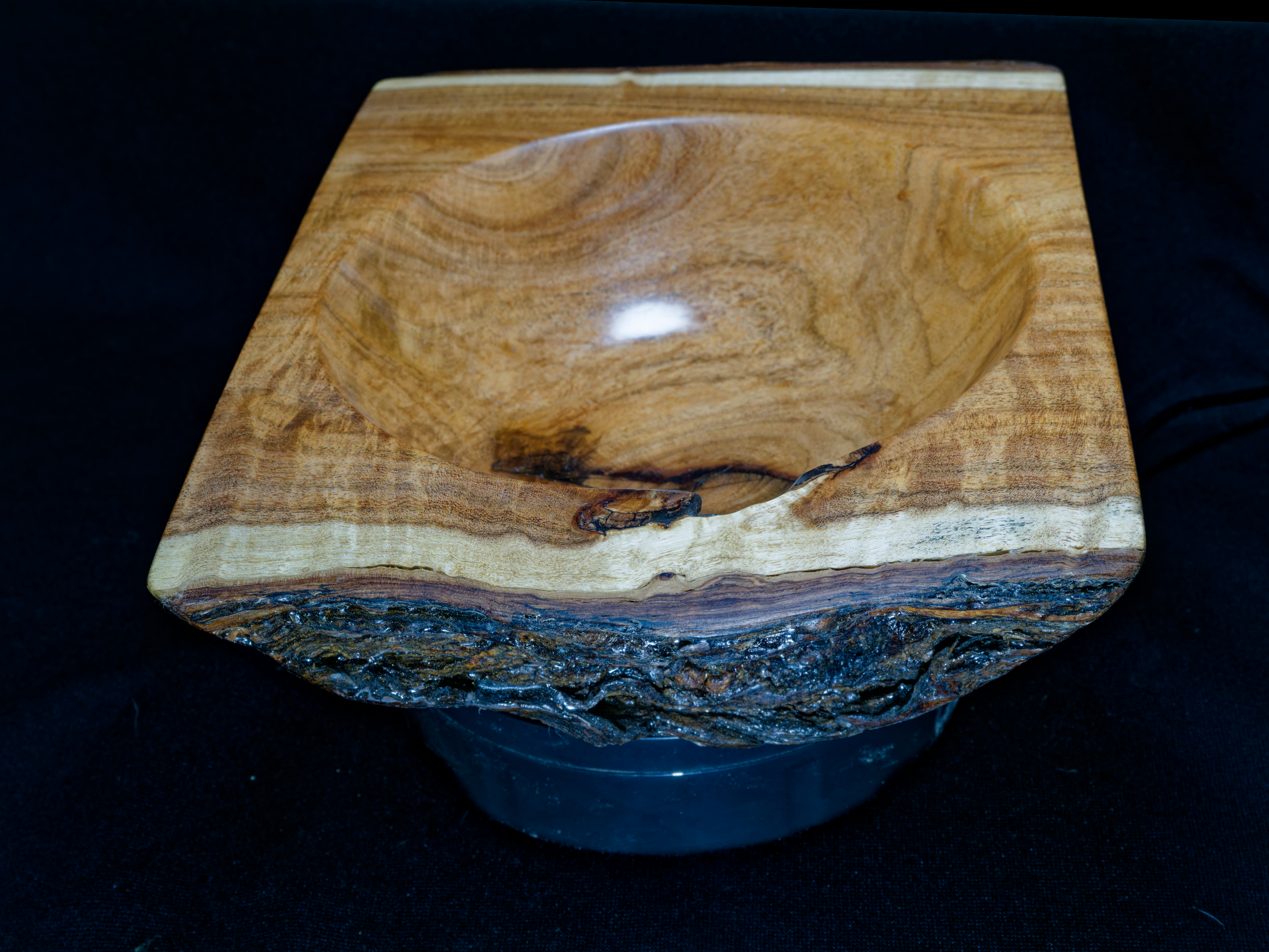 Mesquite01