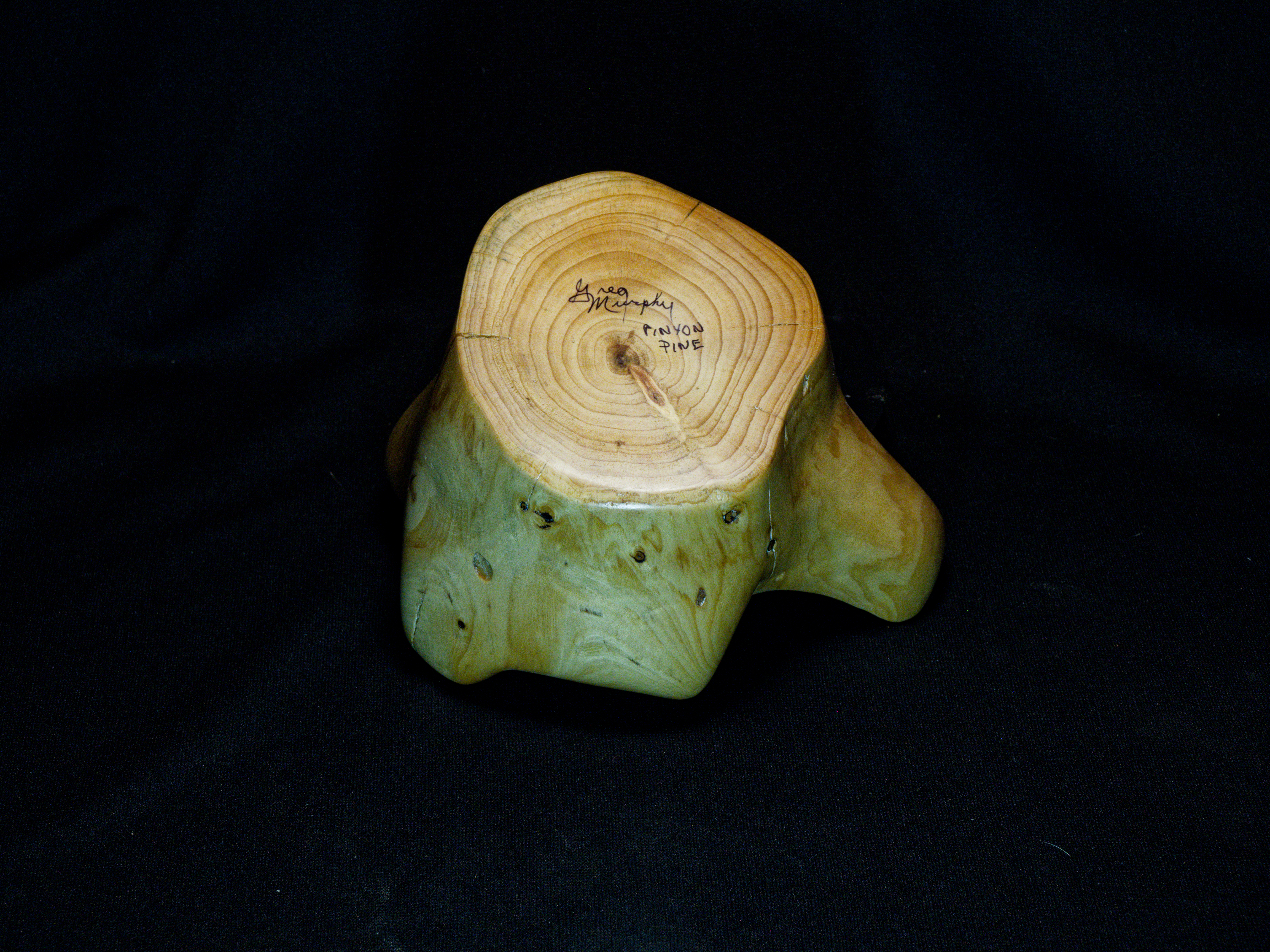 Pinyon Pine # p01