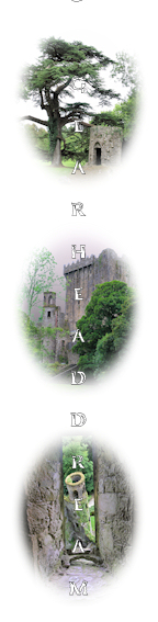 Ireland Bookmark