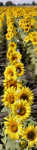 Sunflower Bookmark