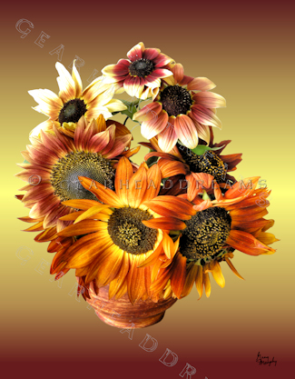 Fall+sunflower+bouquets