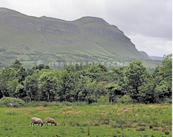 Ben Bulben