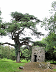 sentry tower at blarney castle