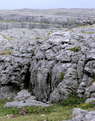 The Burren Cave