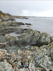 Lough Foyle shore