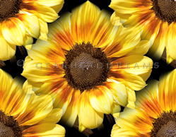 Sunflower Print - Magic Roundabout