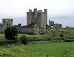 Trim Castle